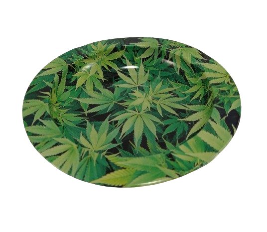 Imagem Segundaria do Produto